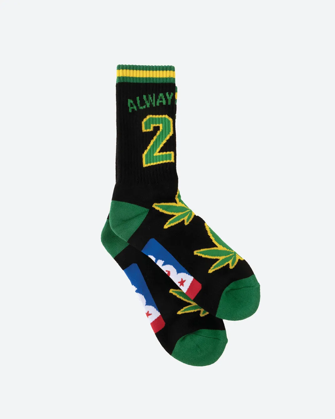 Team Indica Crew Socks